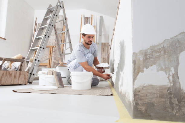 Best Basement Mold Removal  in USA